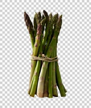 Bundle of Asparagus PNG Stock Photos