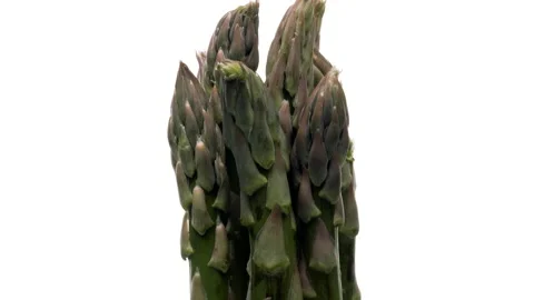 A bundle of asparagus tops rotating on white background. Stock Footage 161026365