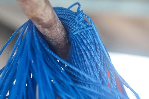 Bundle of Bright Blue Nylon Rope Hanging on Wooden Branch 库存照片