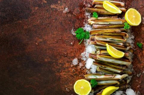 Bundle, bunch of fresh razor clams on ice, dark concrete background, lemon Stock Photos