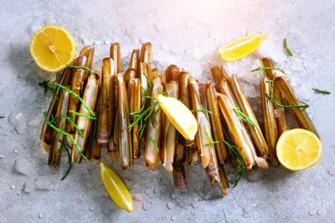 Bundle, bunch of fresh razor clams on ice, grey concrete background, lemon Stock Photos