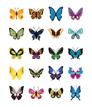Bundle of butterflies set icons 스톡 일러스트