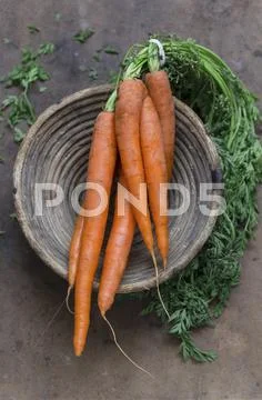 A bundle of carrots in a bowl Stock Photos