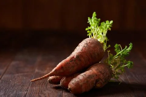 Bundle of carrots with soil over rustic wooden background, side view, close-up Stock Photos