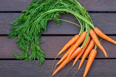 Bundle of carrots on the wood Stock Photos