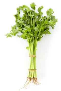  A bundle of celery Beijing China Copyright: xQiexFengx bji03280017 스톡 사진