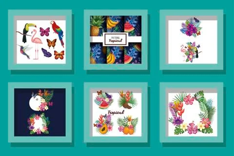 Bundle of designs animals with flowers tropicals 스톡 일러스트
