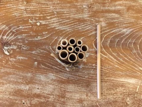 Bundle of ecologic bamboo straws Stock-Fotos