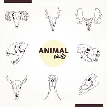 Bundle of eight skulls animals heads icons Stock Illustration