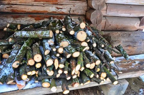 A bundle of firewood for the winter Stock Photos