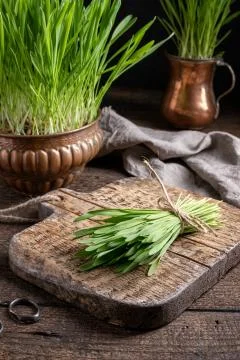 A bundle of fresh barley grass Stock Photos