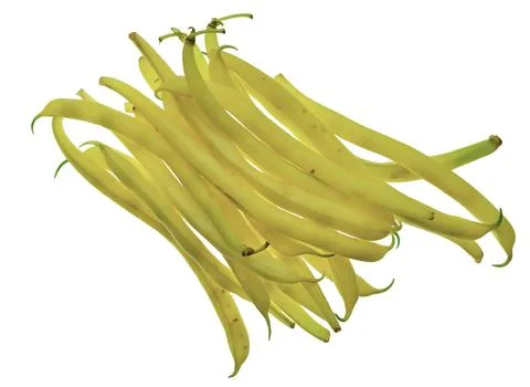 Bundle of fresh green beans on white background. Top view. on transparent, pn Stock Photos