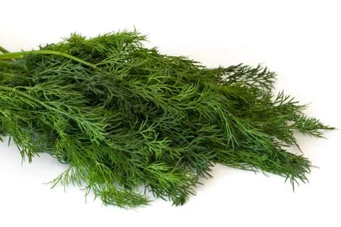 Bundle of fresh green dill isolated on white background Stock-Fotos