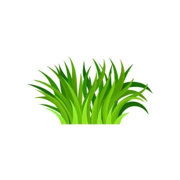 Bundle of fresh green grass. Nature and gardening theme. Bright herbal border 스톡 일러스트