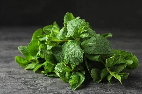 Bundle of fresh green mint on grey table Stock Photos