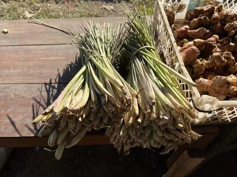 Bundle of fresh lemon grass for retail sale in traditional market Stock Photos