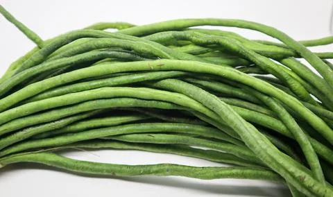 A bundle of fresh, long green beans on a white background, symbolizing heal.. Stock Photos