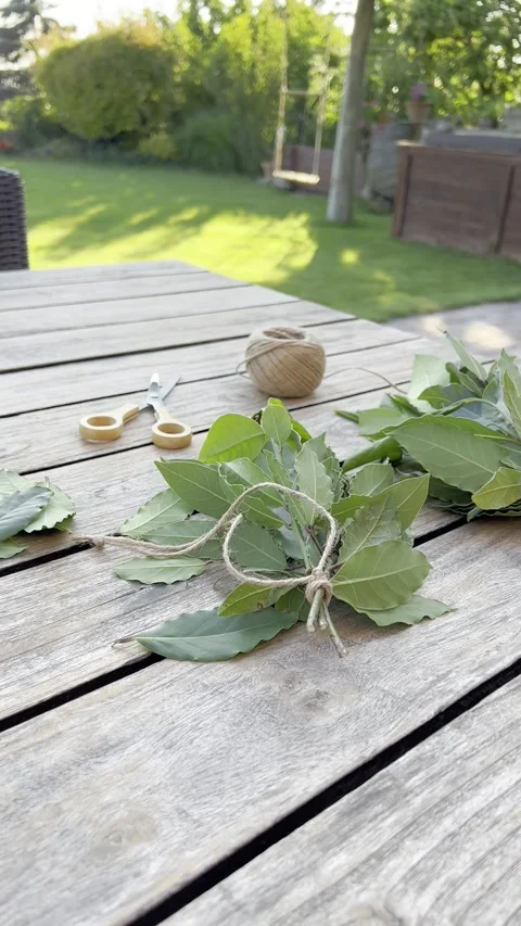 Bundle of fresh organic bay leaves on wooden table. Stock Footage 256922480