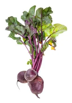 Bundle of fresh organic garden beet roots isolated Stock Photos