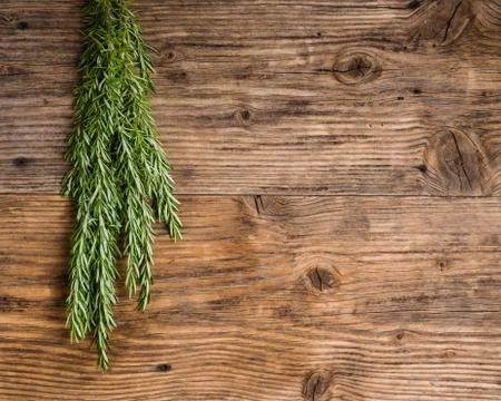 Bundle of fresh roasemary on a table Stock Photos
