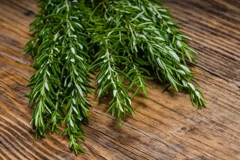 Bundle of fresh roasemary on a table Stock Photos