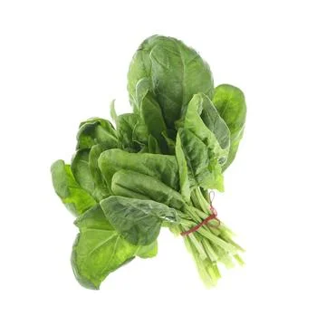 Bundle of fresh spinach isolated on white Stock Photos