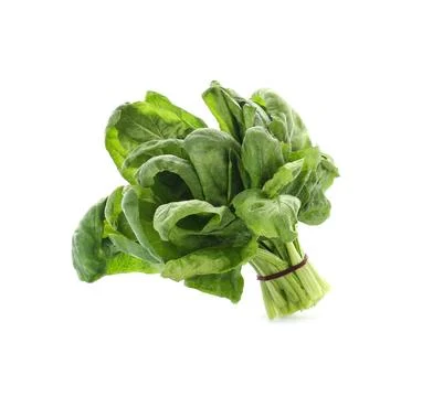 Bundle of fresh spinach isolated on white Stock Photos