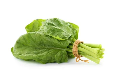 Bundle of fresh spinach isolated on white Stock Photos