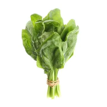 Bundle of fresh spinach isolated on white Stock Photos