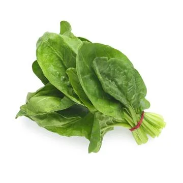 Bundle of fresh spinach isolated on white, top view Stock Photos