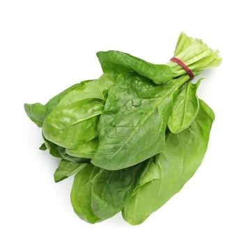 Bundle of fresh spinach isolated on white, top view Stock Photos