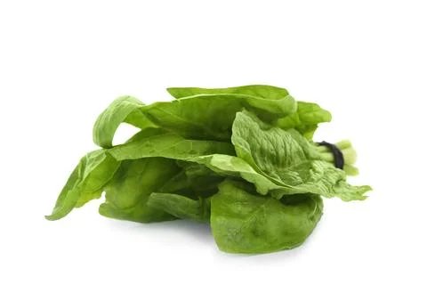 Bundle of fresh spinach isolated on white Stock Photos