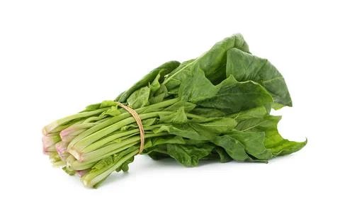 Bundle of fresh spinach isolated on white Stock Photos
