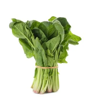 Bundle of fresh spinach isolated on white Stock Photos