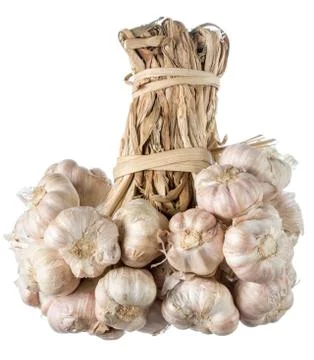 Bundle of garlic isolated on white backgrond Stock Photos