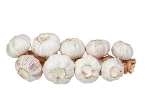 Bundle of garlic. On a white background. Stock Photos