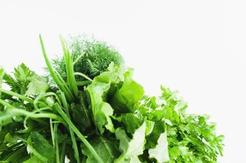 Bundle of green fresh raw dill, parsley, onion, celery and sorrel Stock Photos