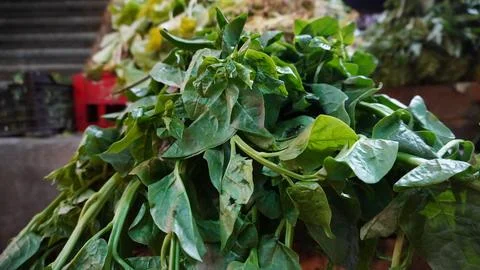 Bundle of green leafy vegetables with crisp broad leaves Stock Photos