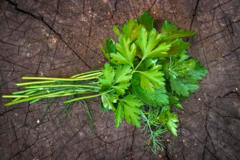 Bundle of green on a wooden surface Foto stock