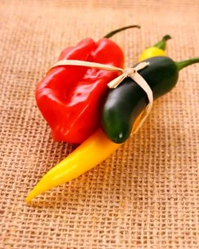 Bundle of hot pepper varieties of jute background Stock Photos