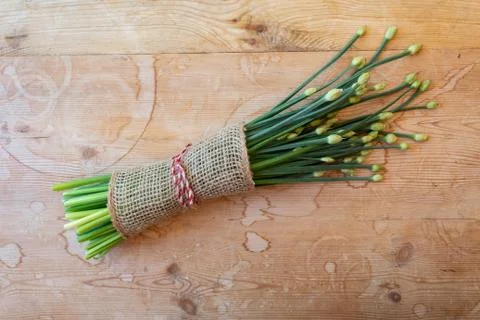 Bundle of large chives bound in burlap and tied with twine Stock Photos