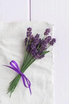 Bundle of lavender Stock Photos