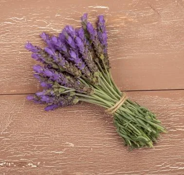 Bundle of lavender Stock Photos