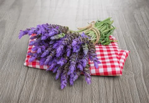 Bundle of lavender Stock Photos