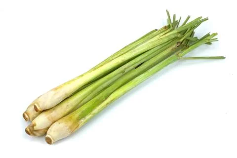 Bundle of lemon grass isolated on white Stock Photos