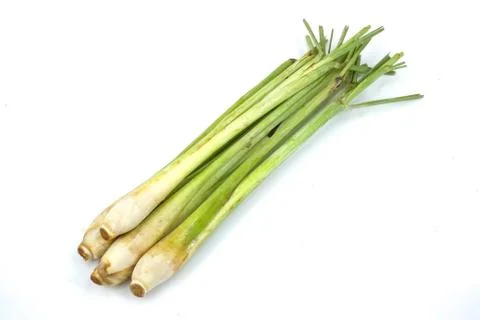 Bundle of lemon grass isolated on white Stock Photos
