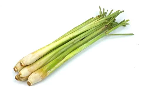 Bundle of lemon grass isolated on white Foto stock