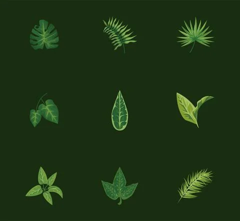 Bundle of nine leaves plants green nature icons Stock Illustration