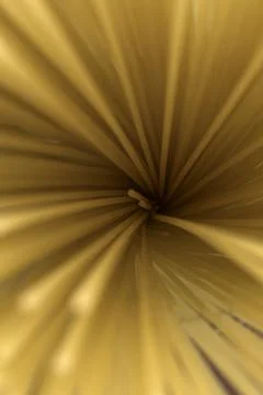 Bundle of pasta straws macro photo from the end Stock Photos