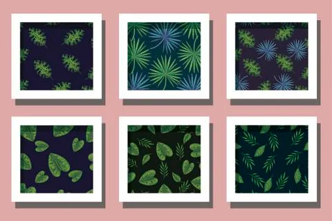 Bundle of patterns leafs tropicals Stock Illustration